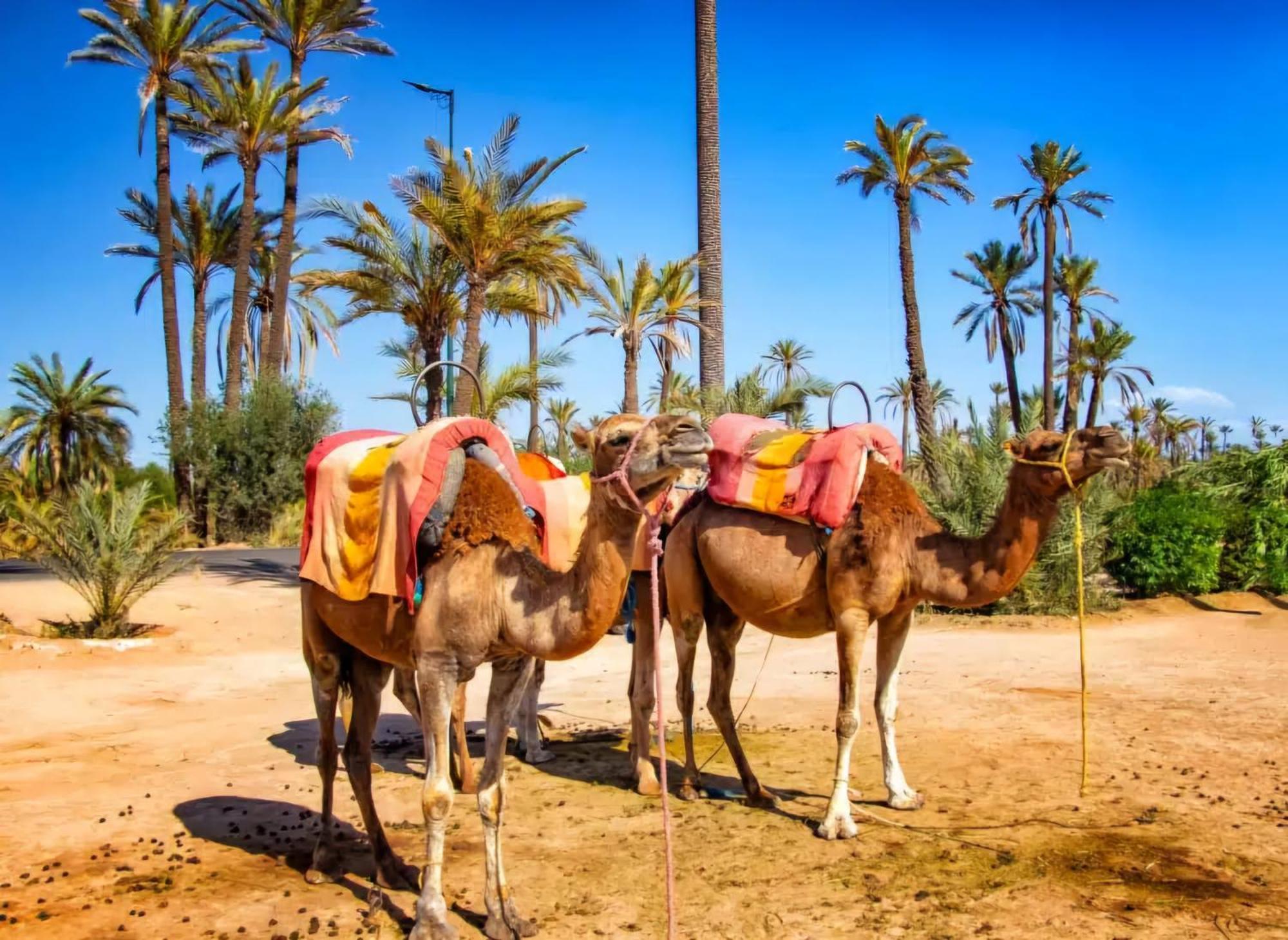 La Perle de l'Atlas by Golf Resort Marrakesh Extérieur photo
